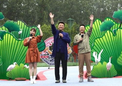 爆料涞源新闻事件视频最新,最新视频爆料揭示惊人真相